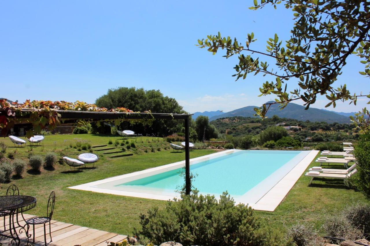 Albero Capovolto Bed & Breakfast Golfo Aranci Exterior photo